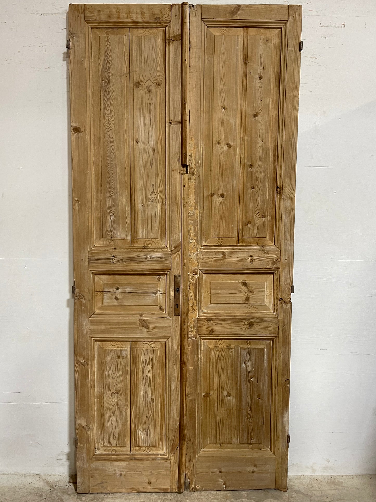 Antique French Panel Doors (96.75x43.25) J663