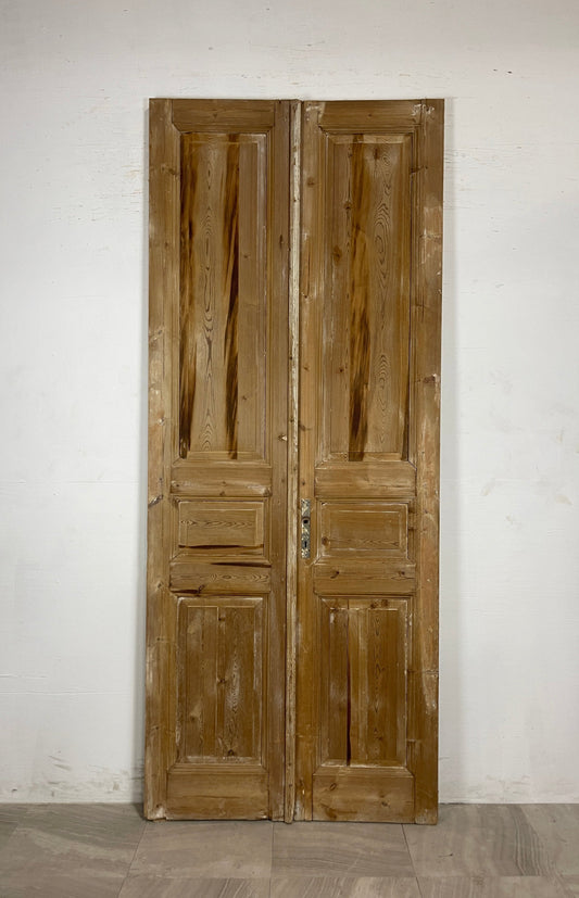 Antique French panel Doors (101.75 x 41.5) N105