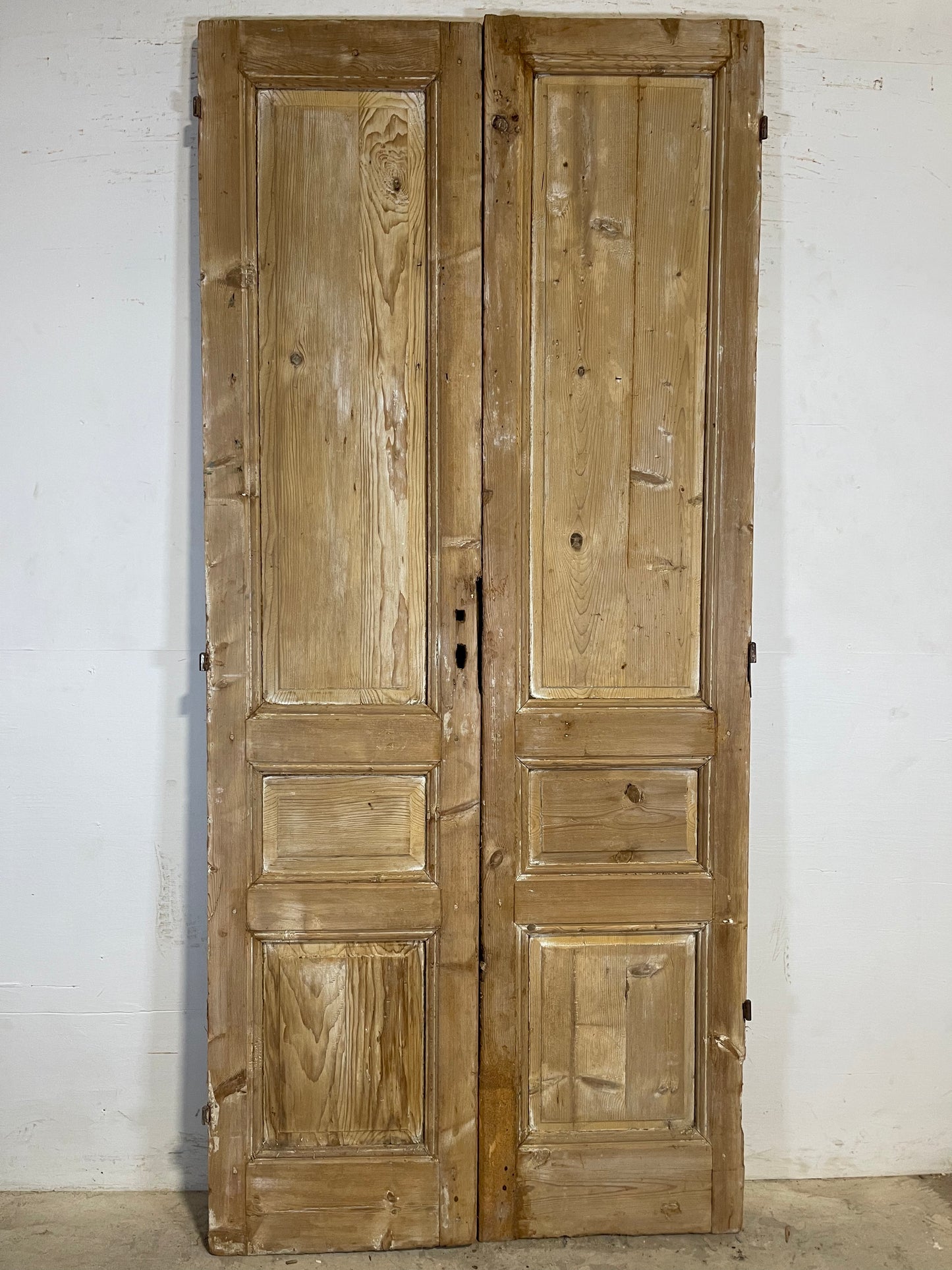 Antique French panel Doors (97.75x43.5) K609