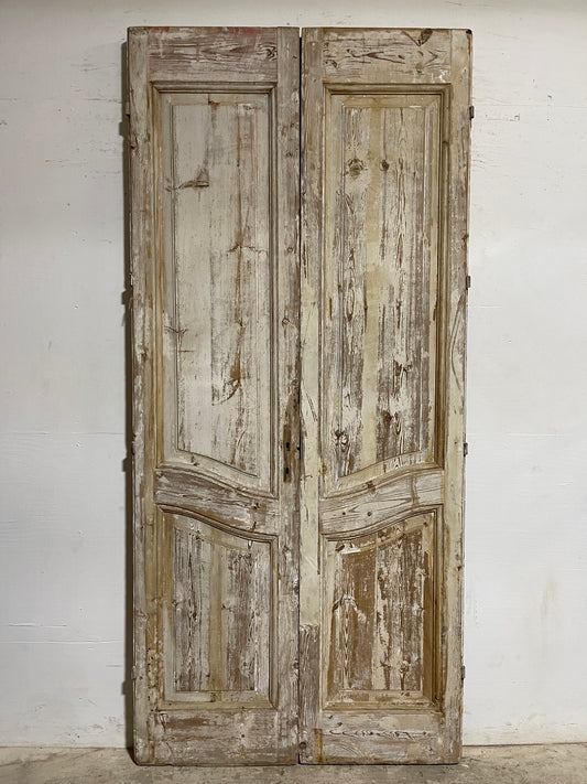 Antique  French Panel Door with Carving  (104.25x47.5) L007