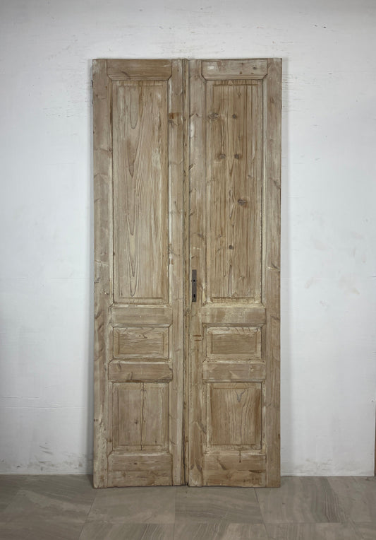 Antique French panel Doors (98 x 43.25) N119