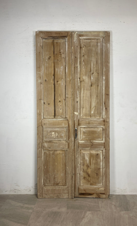 Antique French panel Doors (99.5 x 43.75) N124