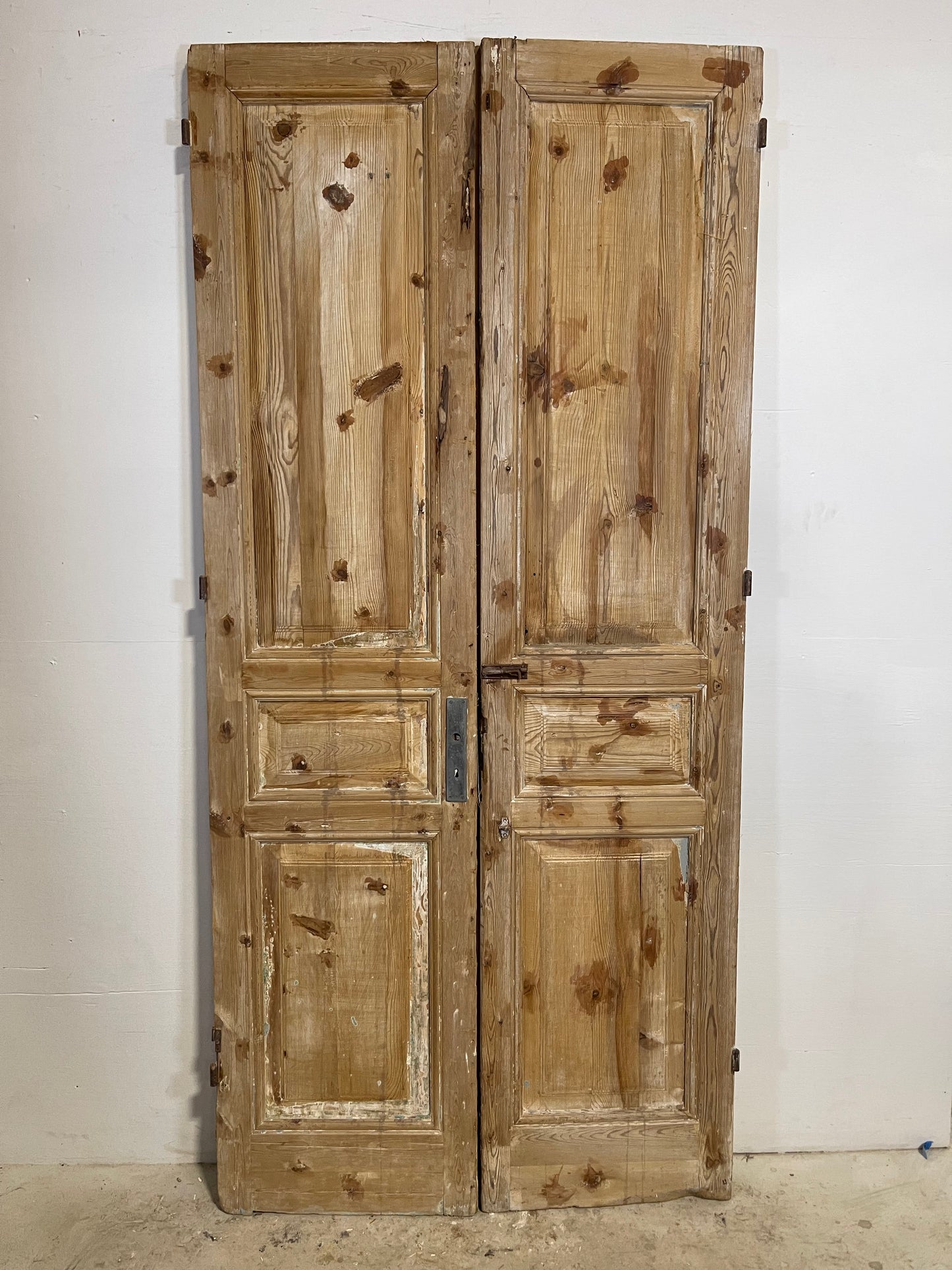 Antique French panel Doors (94.25x43.75) L269