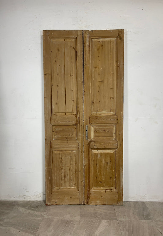 Antique French panel Doors (94.75 x 43)    N071