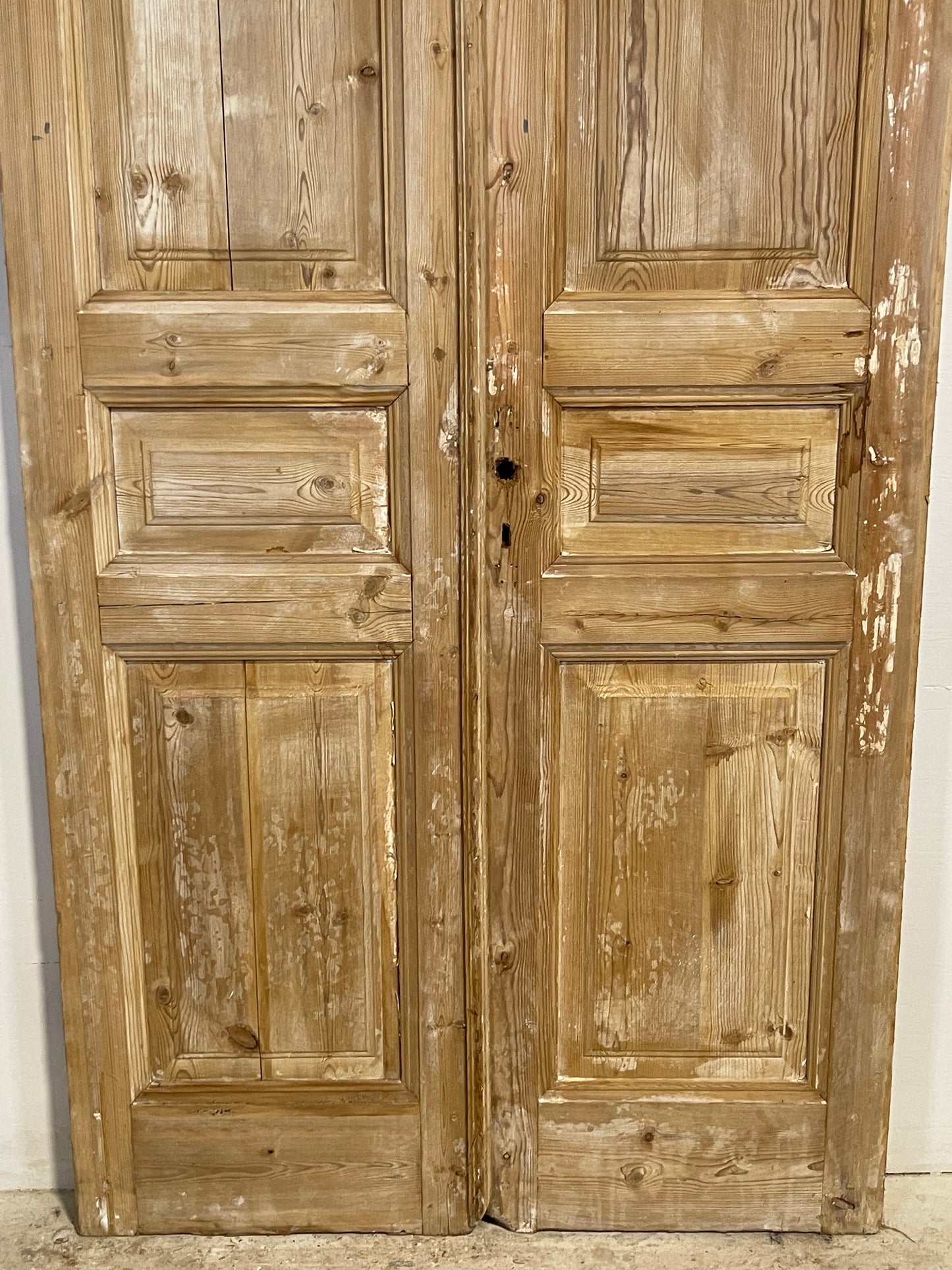 Antique French panel Doors (96x43) L287
