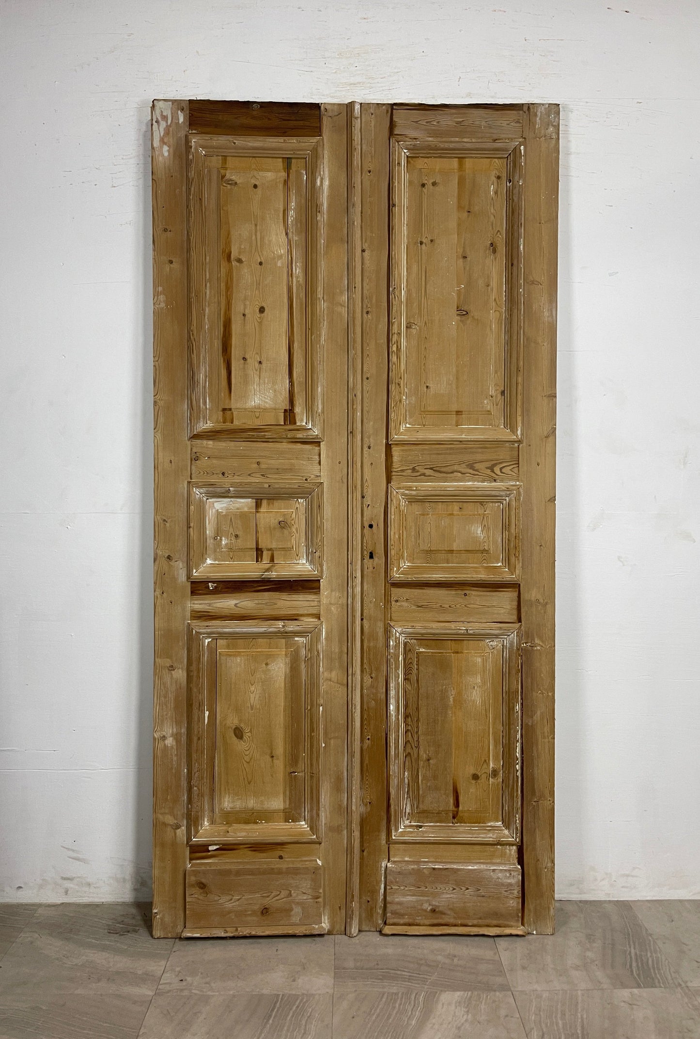 Antique French panel Doors  (94.75 x 46.25)   N141