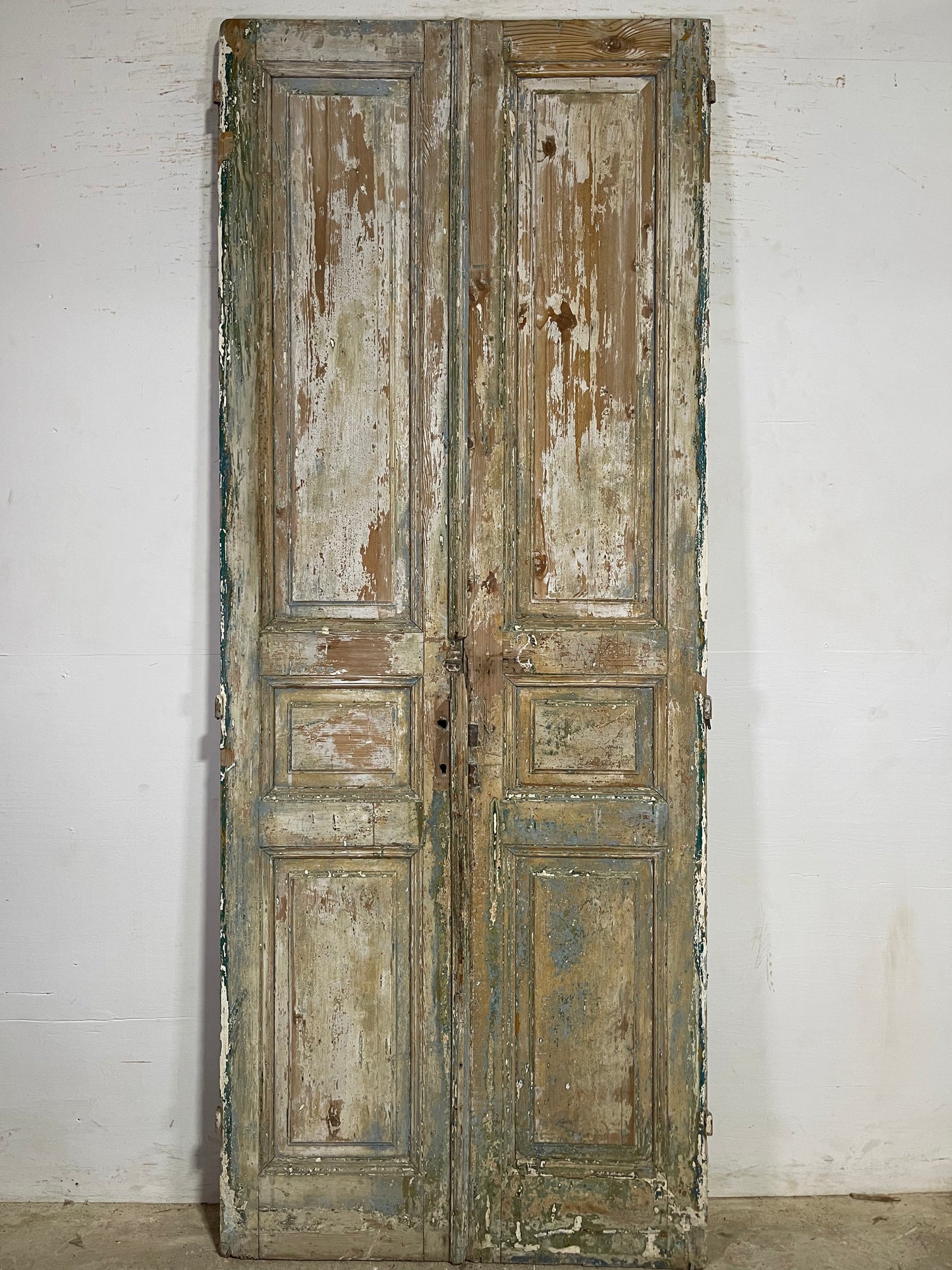 Antique French panel Doors (98.25x38.75) K643