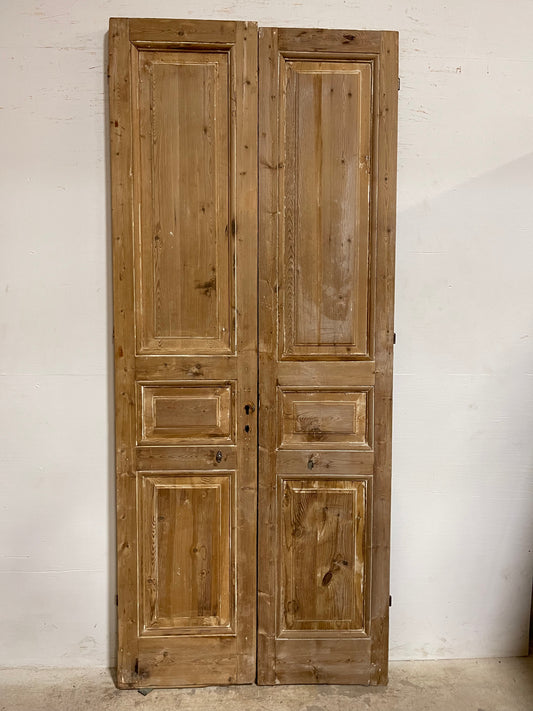 Antique French Panel Doors (98.25x41.5) J658