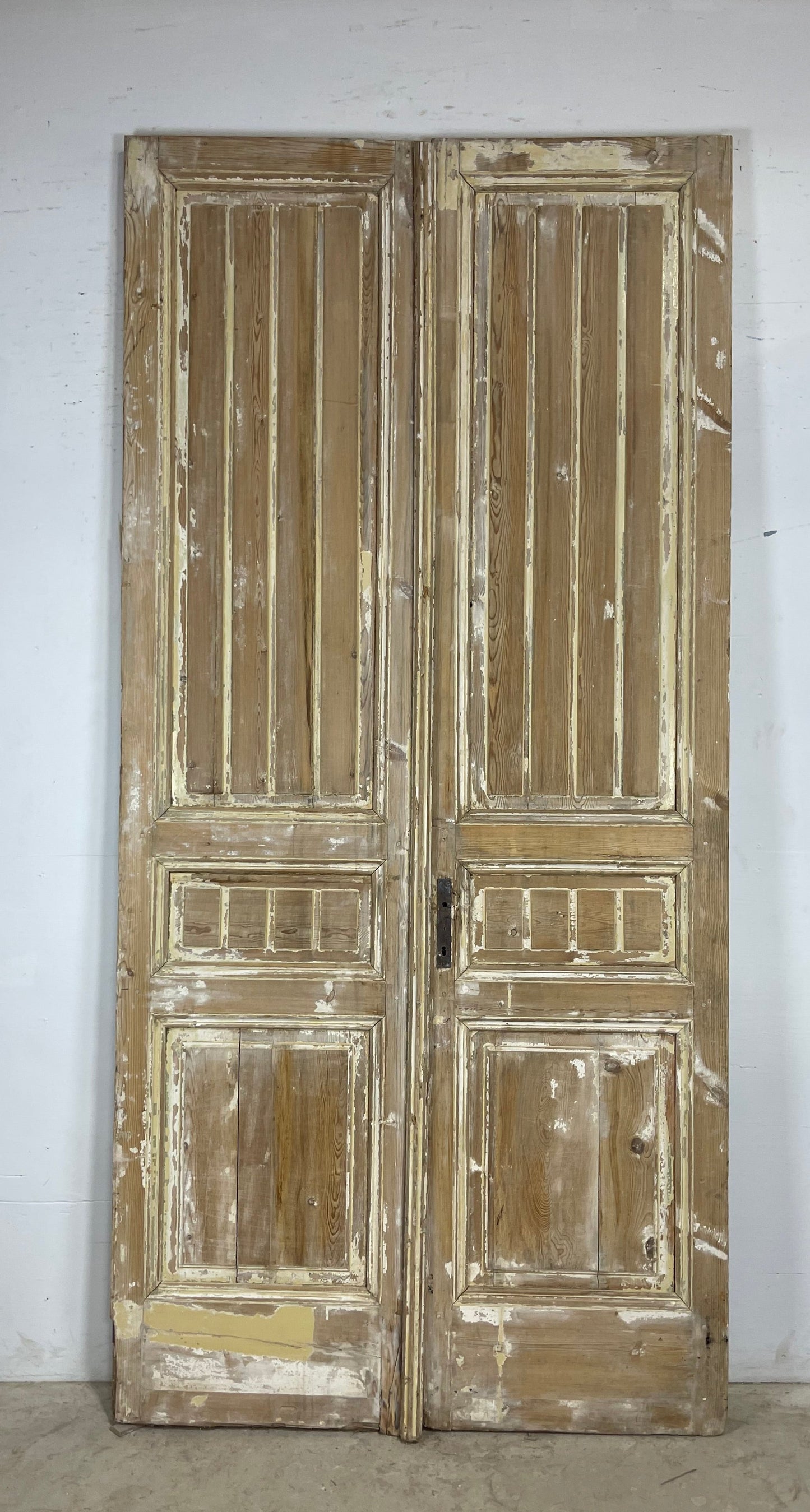 Antique French panel Doors (109.25 x 52) M176