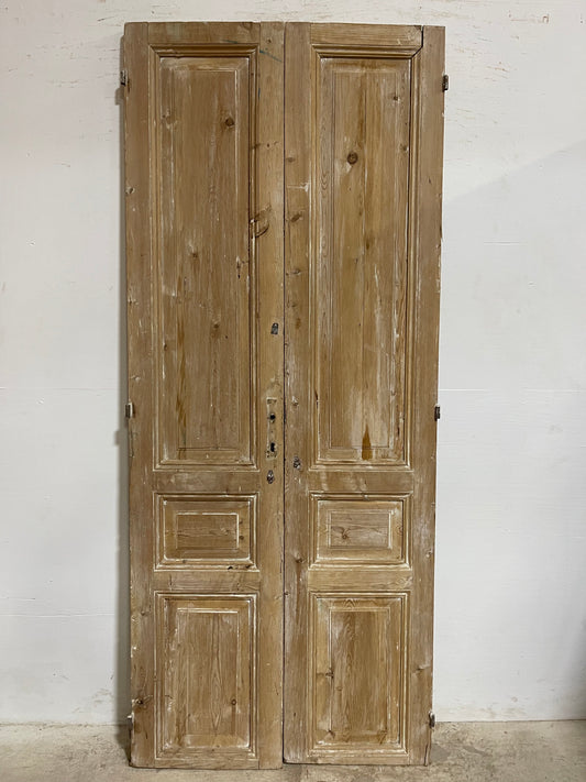 Antique French panel Doors (92x38.5) J640