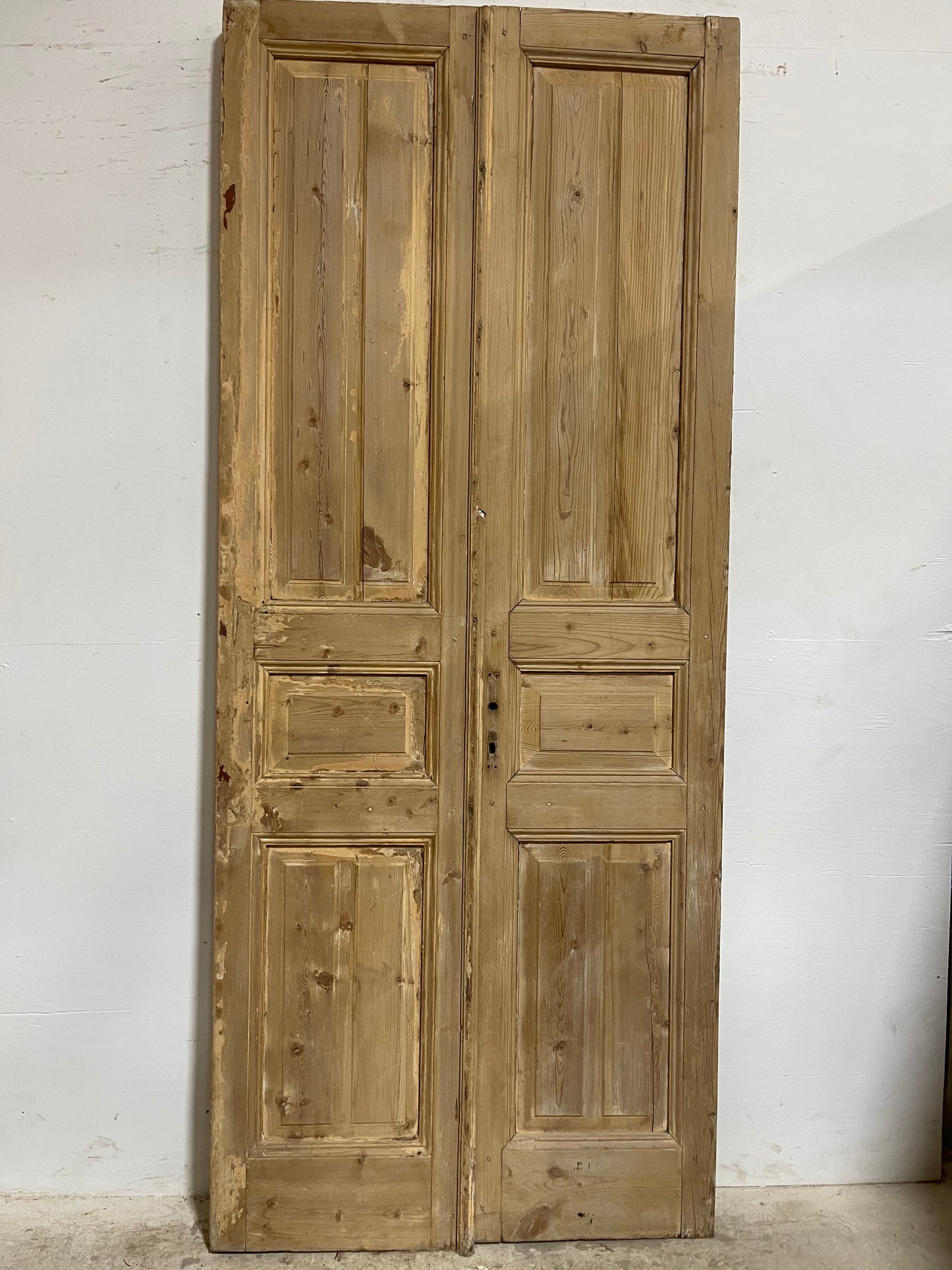 Antique French panel Doors (97.25x40.25) J635