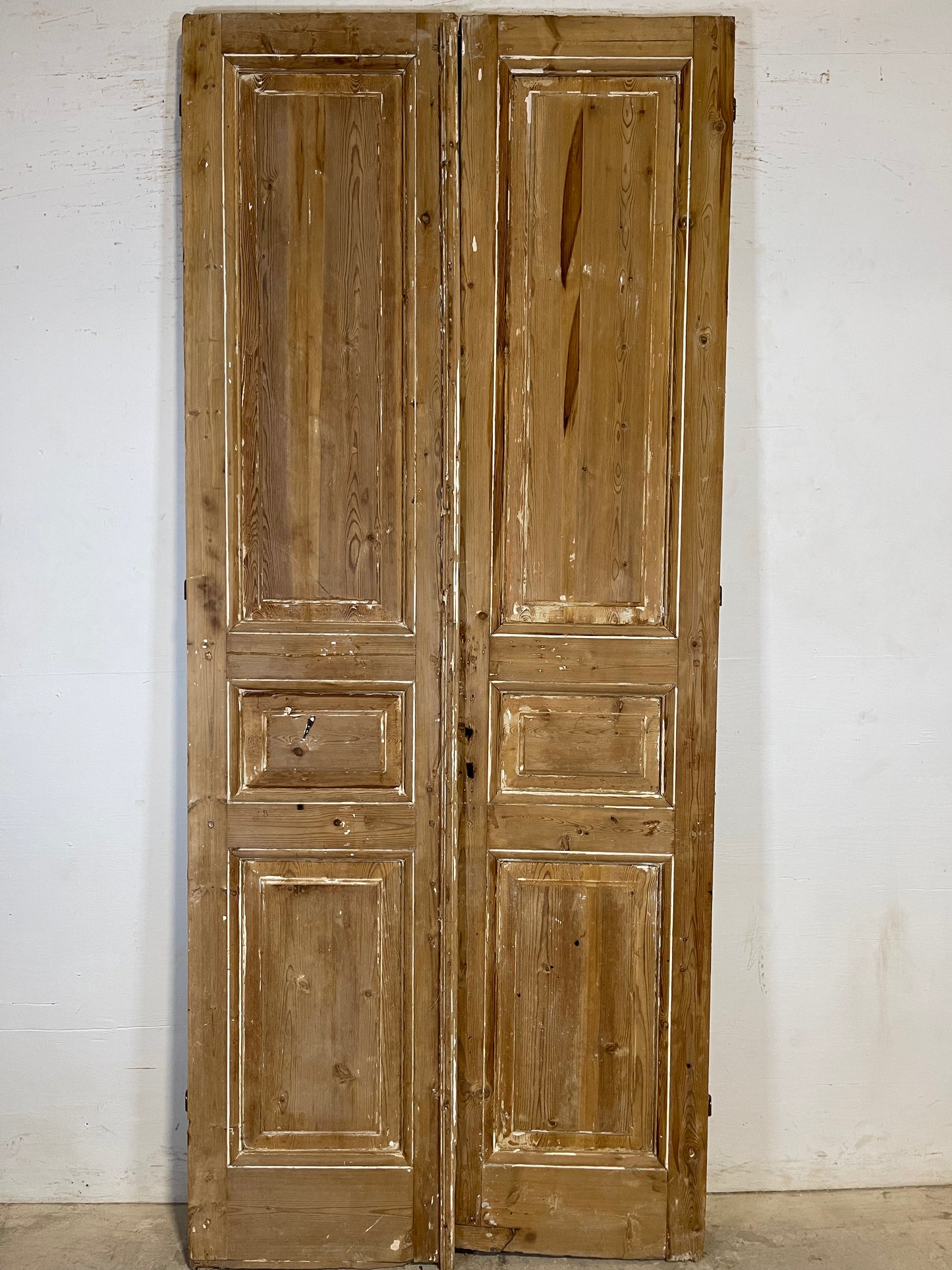 Antique French panel Doors (99x42) K662