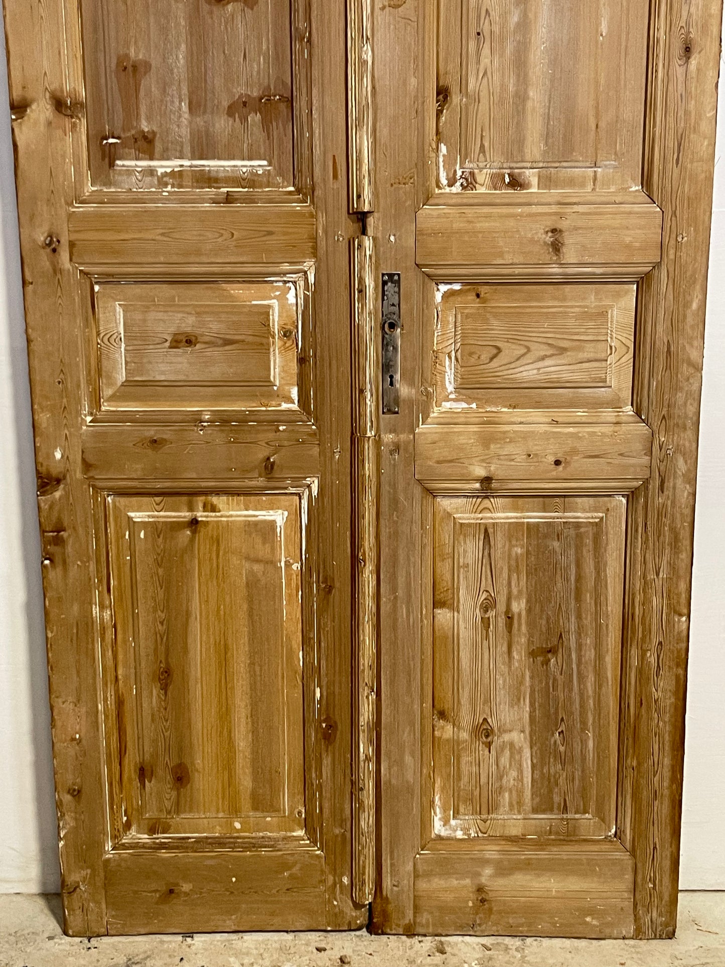 Antique French panel Doors (94.5x41.5) L265