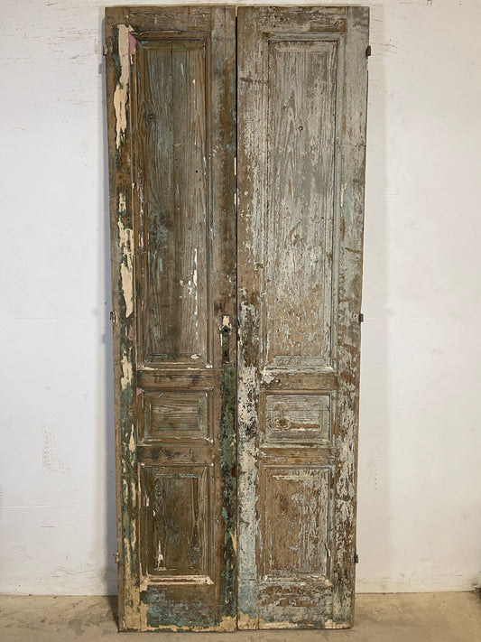 Antique French panel Doors (92x36.5) K612