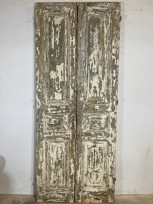 Antique French panel Doors (96x39) K626