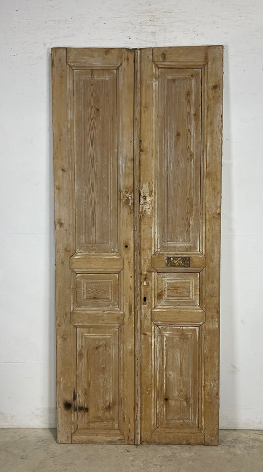 Antique French panel Doors (89x37.75) M141