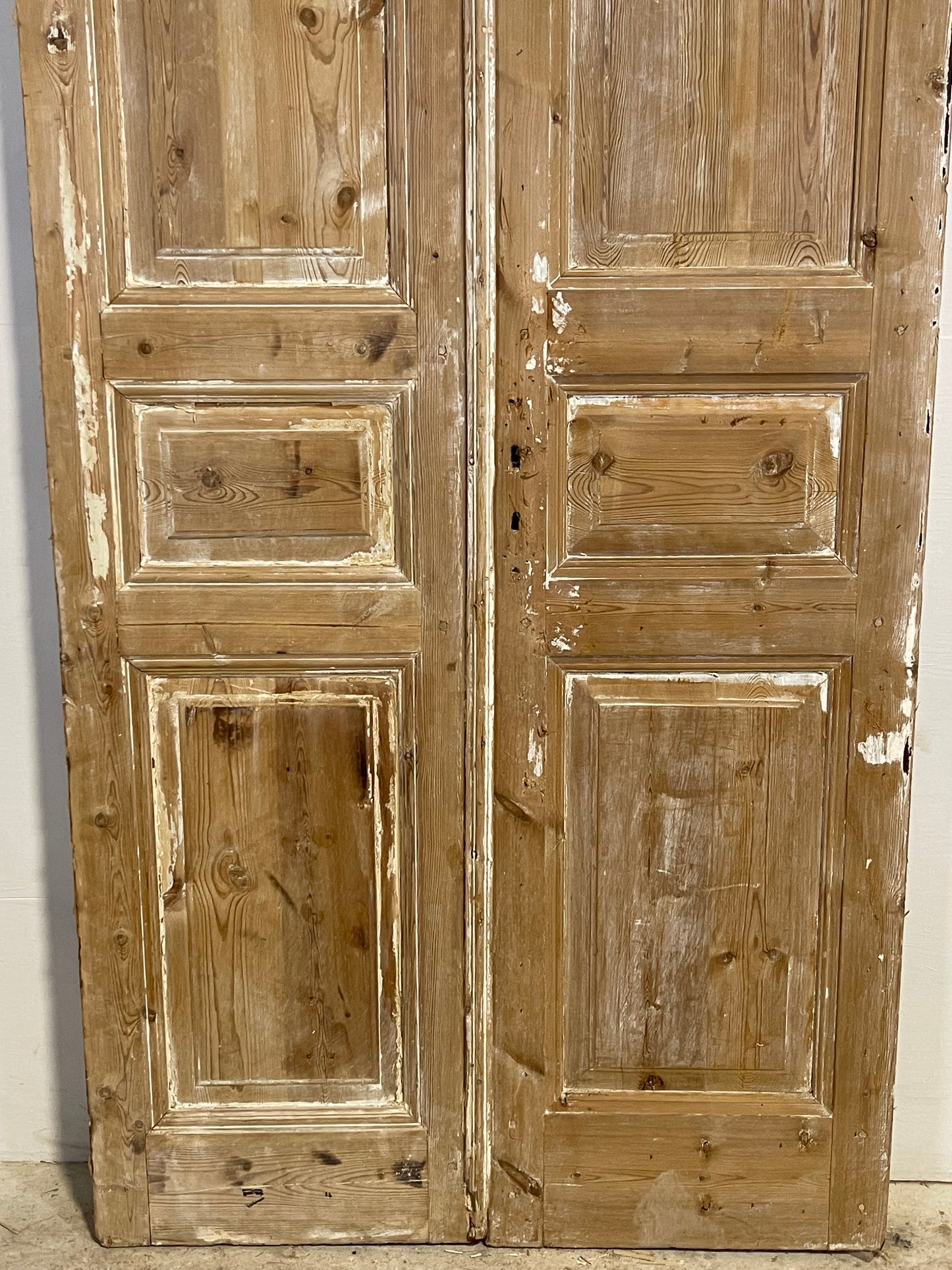 Antique French panel Doors (96x42.25) L289