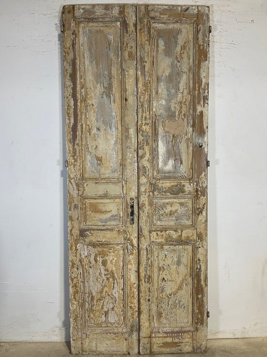 Antique French panel Doors (97.25x39.75) K625