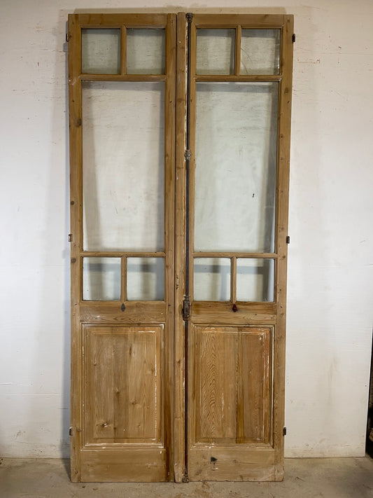 Antique French panel doors with glass (103x48) L159