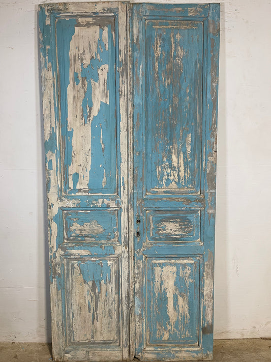 Antique French panel Doors (84.75 x 40.25) K646