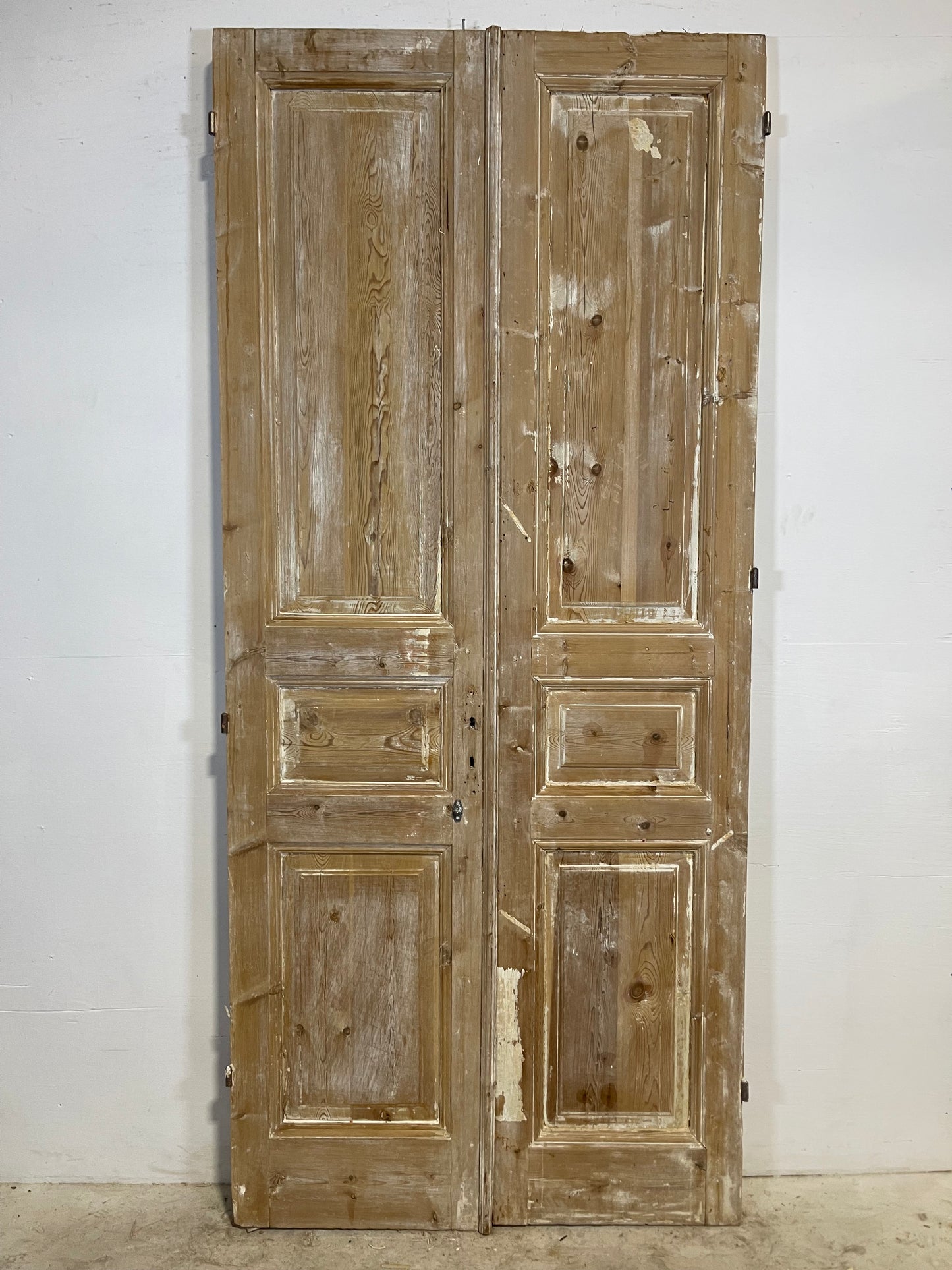 Antique French panel Doors (96x42.25) L289