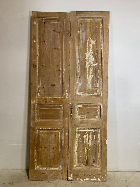 Antique French panel Doors (97.25x44.5) L264