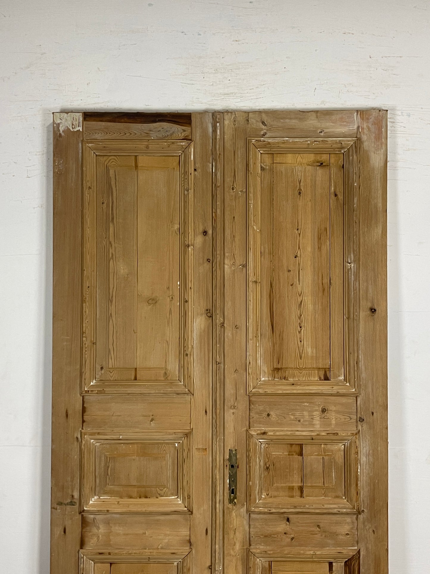 Antique French panel Doors (95 x 46.5)   N137