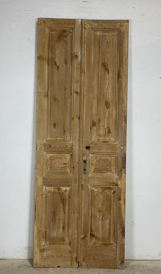 Antique French panel Doors (98.25 x 36) M188