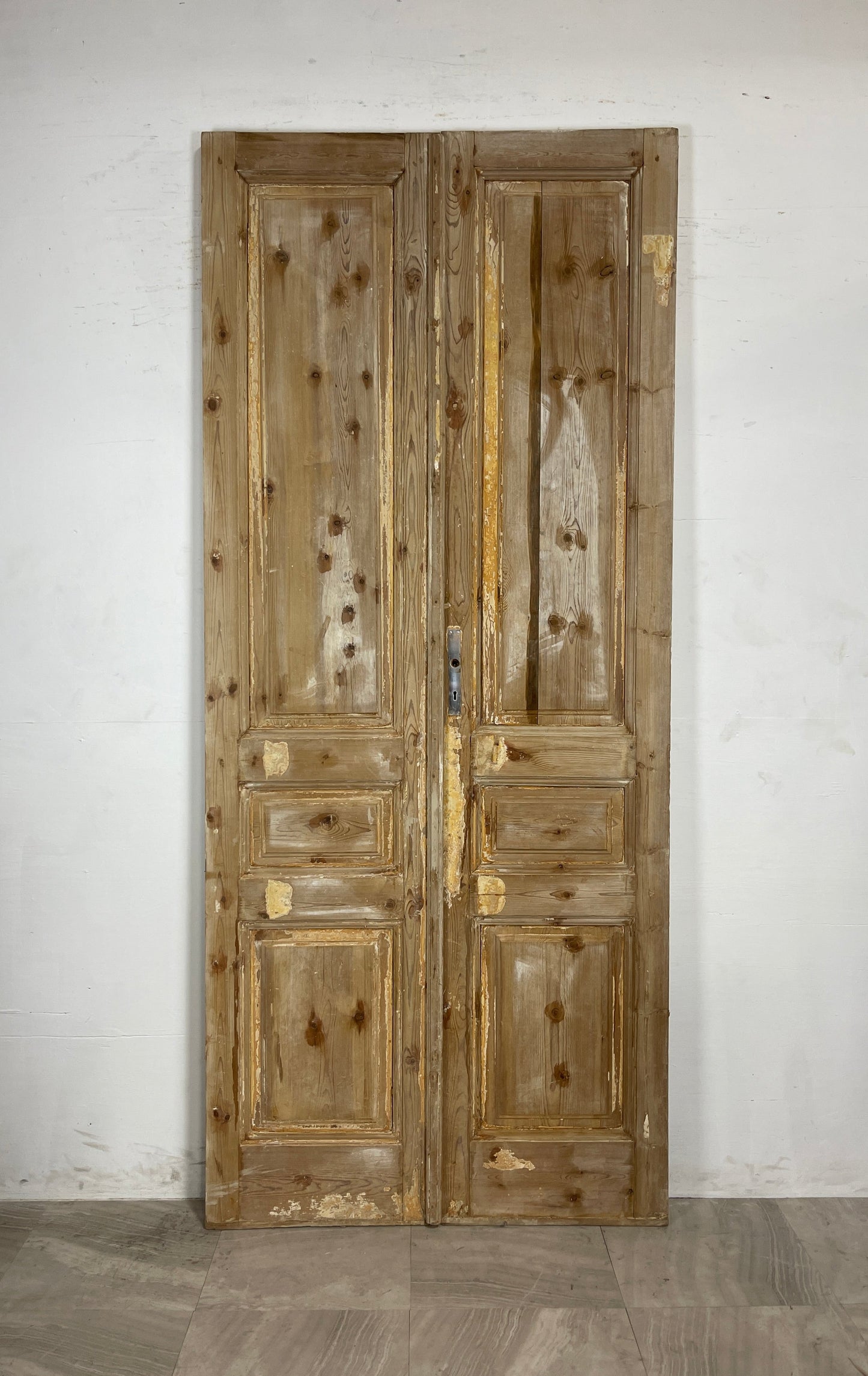 Antique French panel Doors  (102.5 x 44)   N070