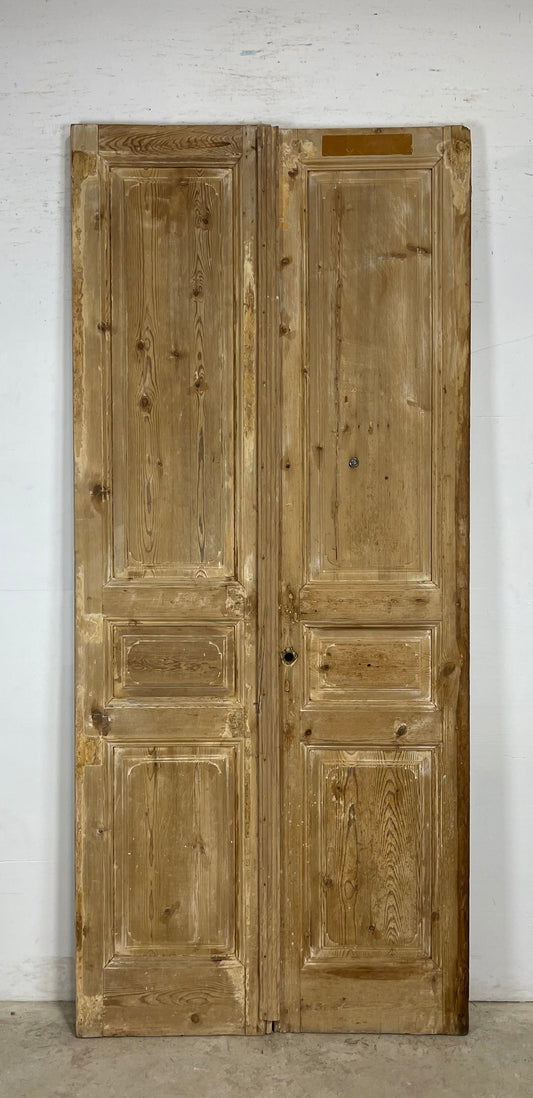 Antique French panel Doors (98 x 43) M172