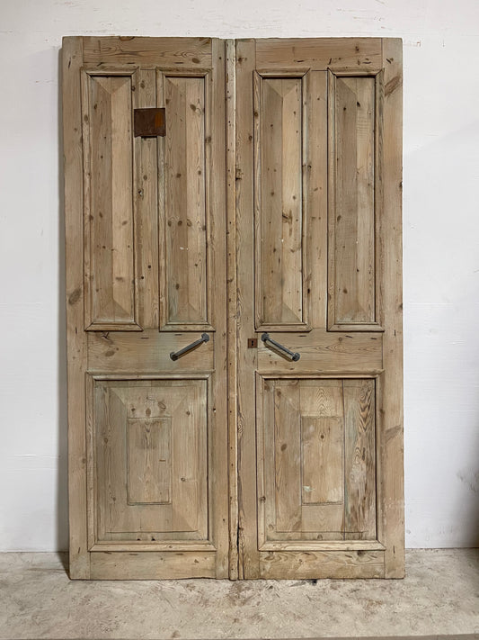 Antique French Panel Doors (94x59.25) J011