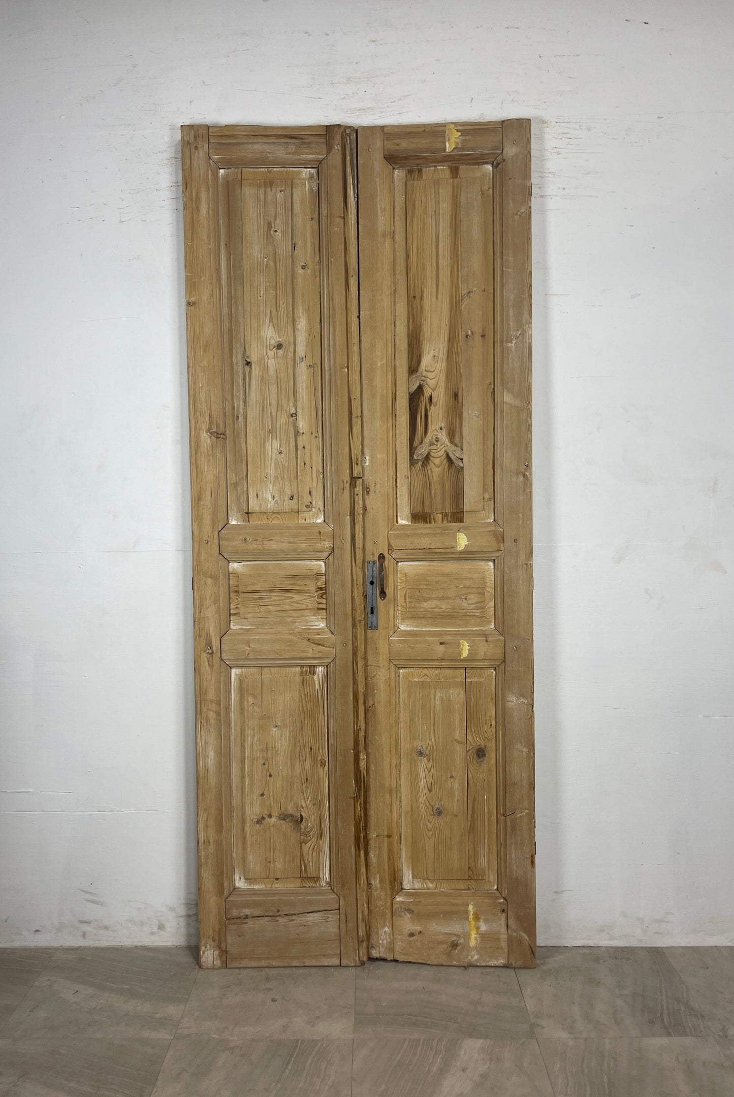 Antique French panel Doors (94.75 x 38.5) N117