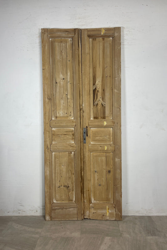 Antique French panel Doors (94.75 x 38.5) N117