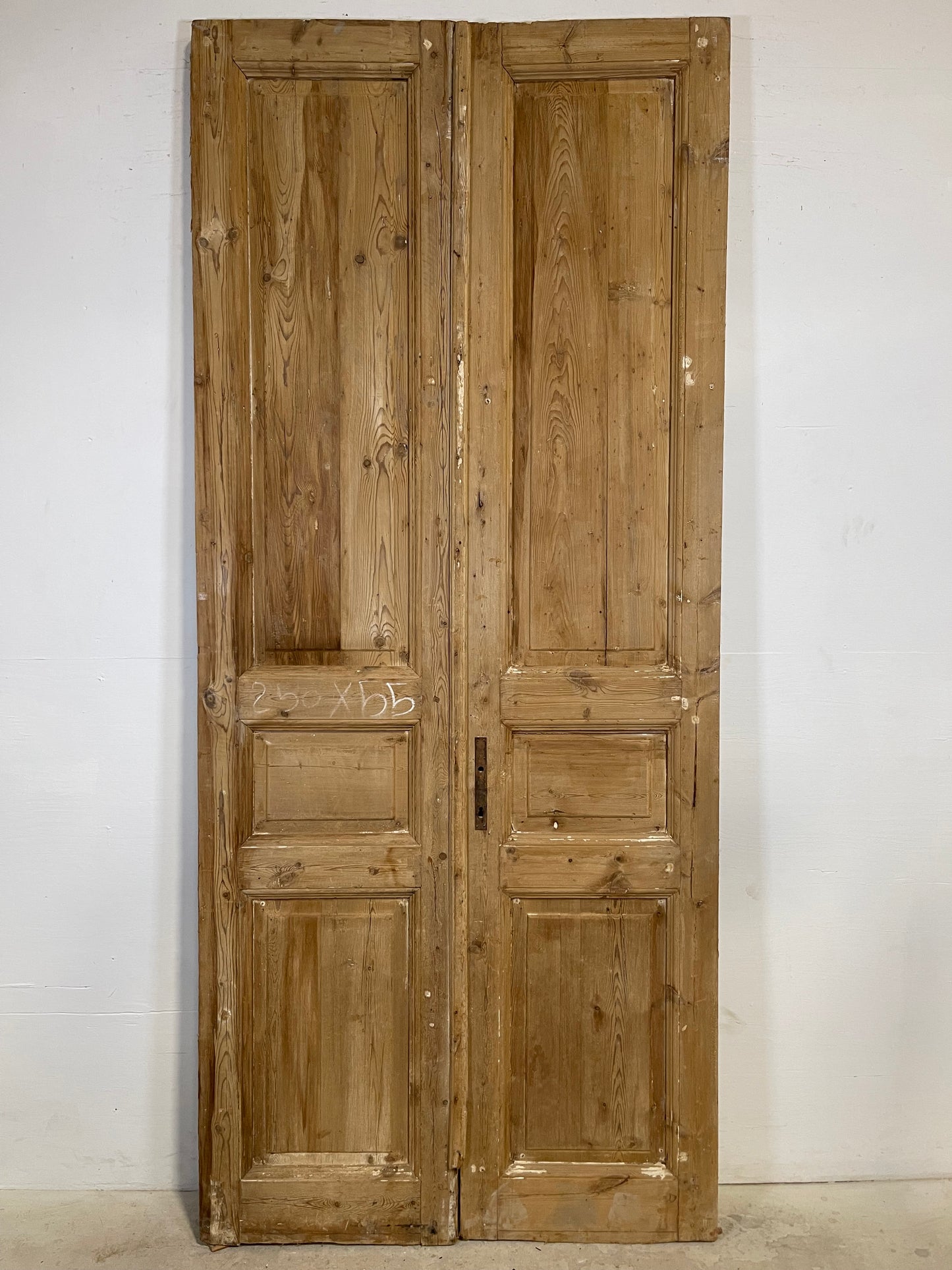 Antique French panel Doors (98.5x42.5) L361