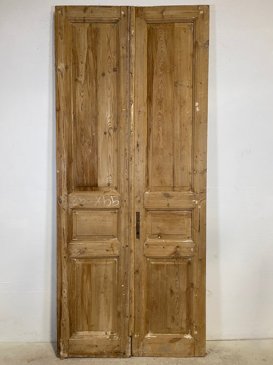 Antique French panel Doors (98.5x42.5) L361