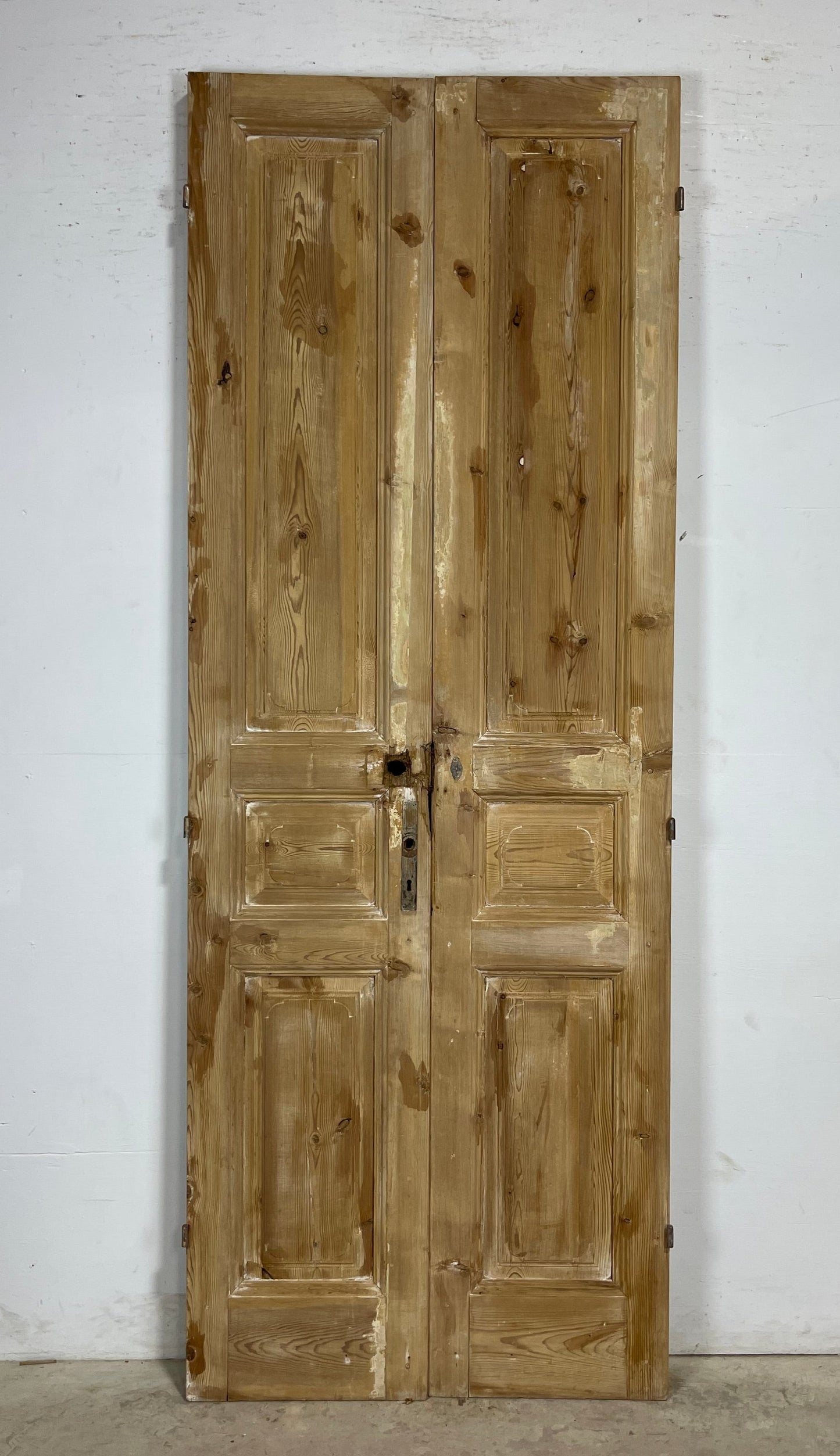 Antique French panel Doors (98.25 x 36) M188