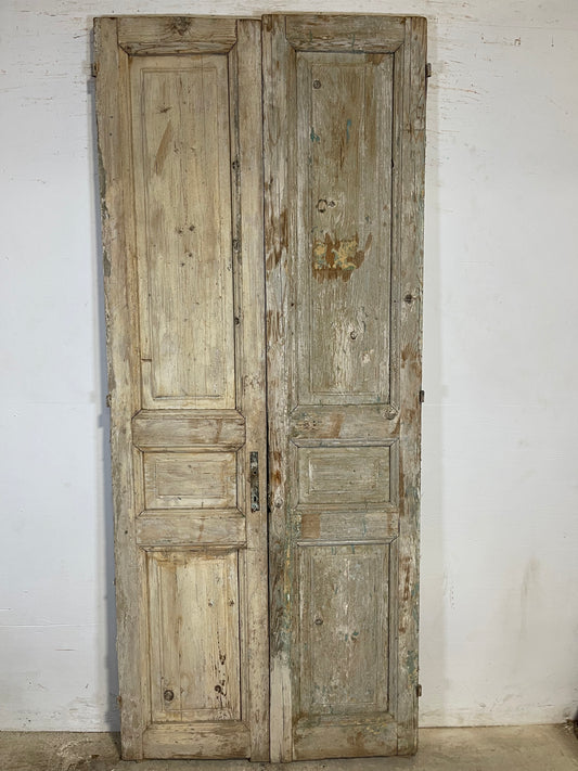 Antique French panel Doors (95.5x40) K627