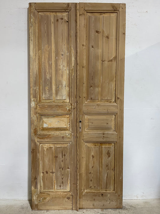 Antique French panel Doors (96.75x44.25) J652