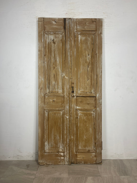 Antique French panel Doors   (91.25 x 40.25) N135