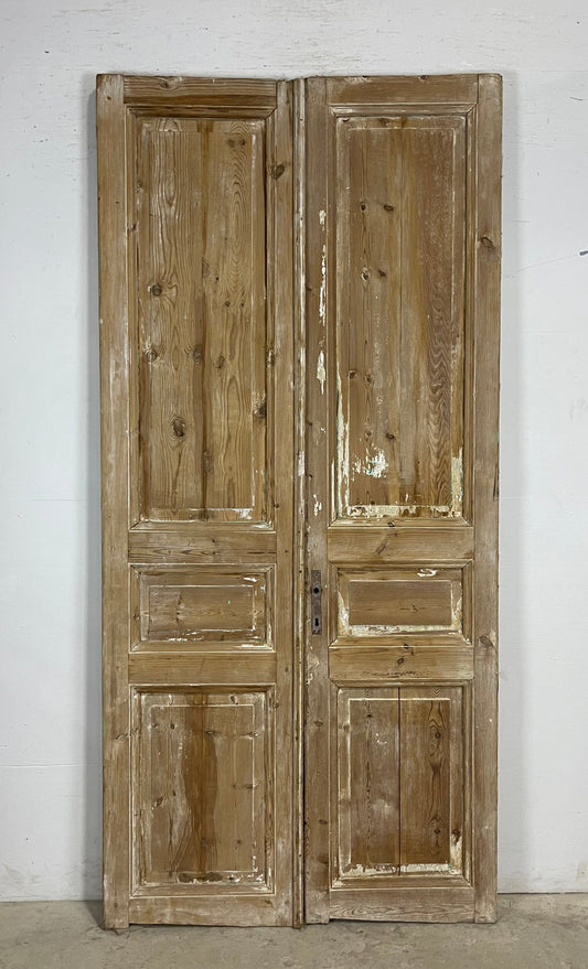 Antique French panel Doors (94x44) M137