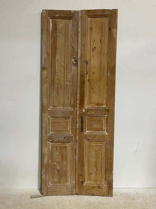 Antique French panel doors (91x35.5) H0064s