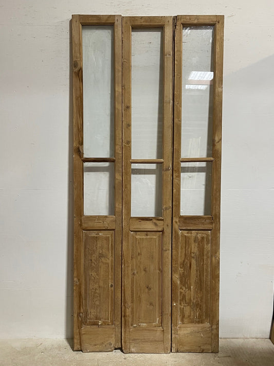 Antique French doors with glass  (98.5x43.25) H0243s