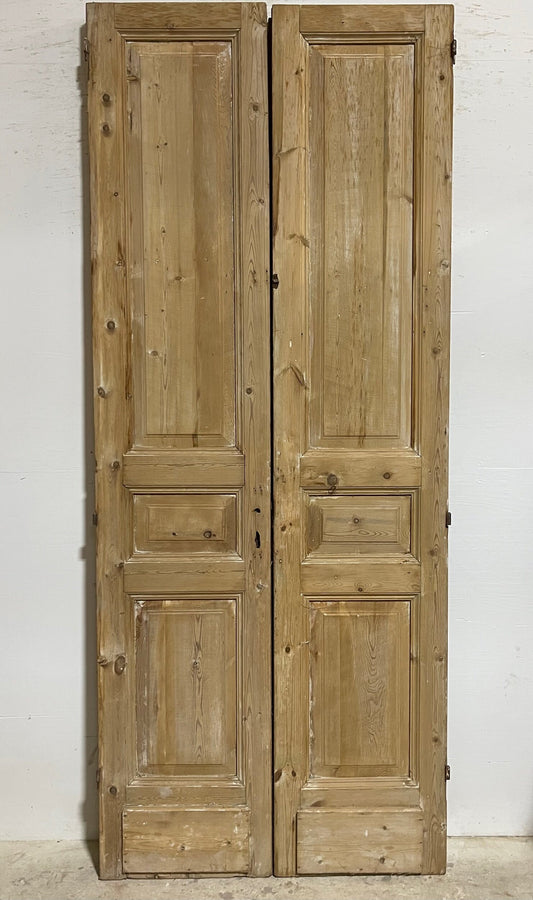 Antique French panel doors (101.5x41.5) I157