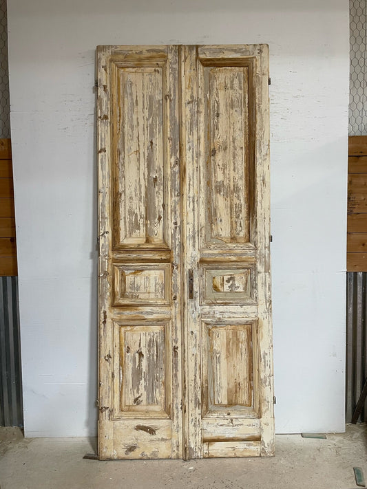 Antique French door (112.75x47.5) F0760