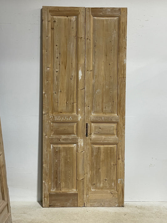 Antique French doors (104.5x43.5) H0098s