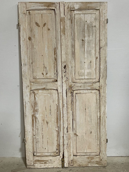 Antique French panel doors (66.75x34) I193