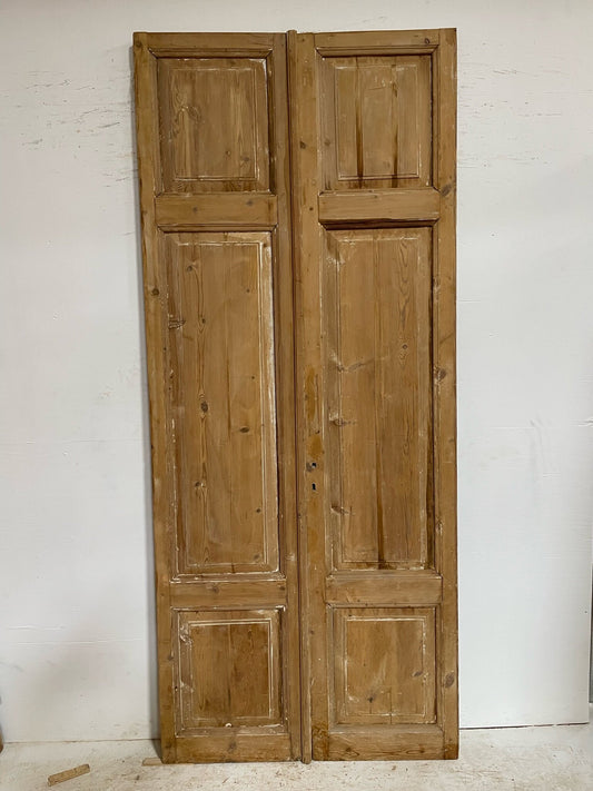 Antique French door (103.5x44) D024