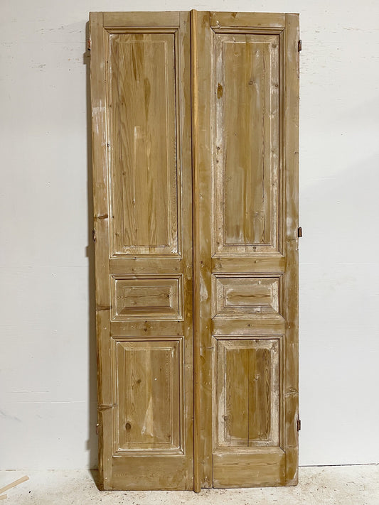 Antique French door (101x44) E1020