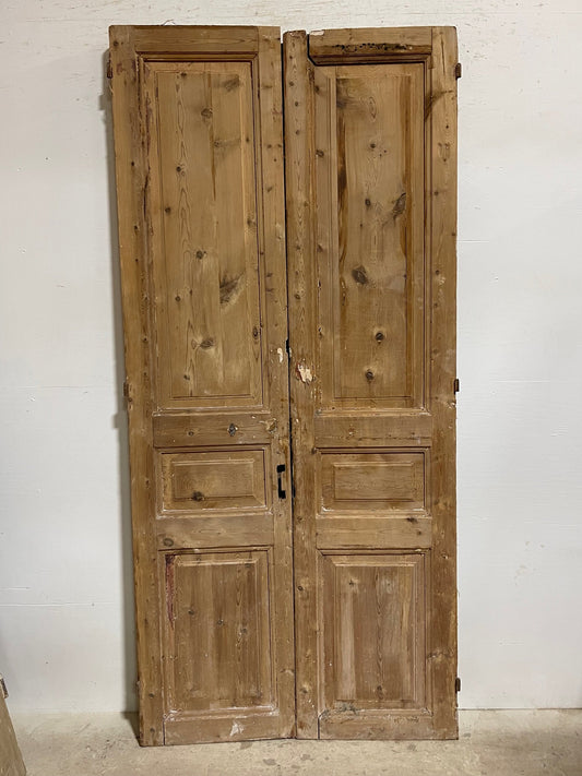 Antique French panel doors (93.75x43.5) I185