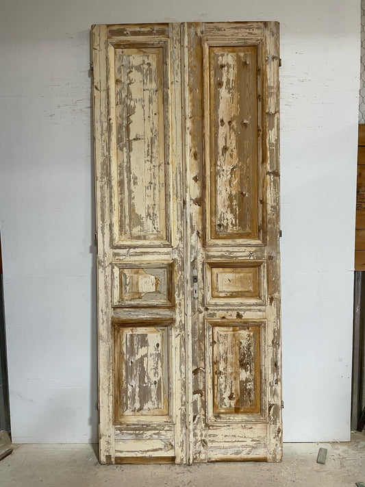 Antique French door (112.75x47.5) F0716